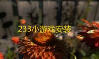 233小游戏安装